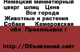 Немецкий миниатюрный(цверг) шпиц › Цена ­ 50 000 - Все города Животные и растения » Собаки   . Кемеровская обл.,Прокопьевск г.